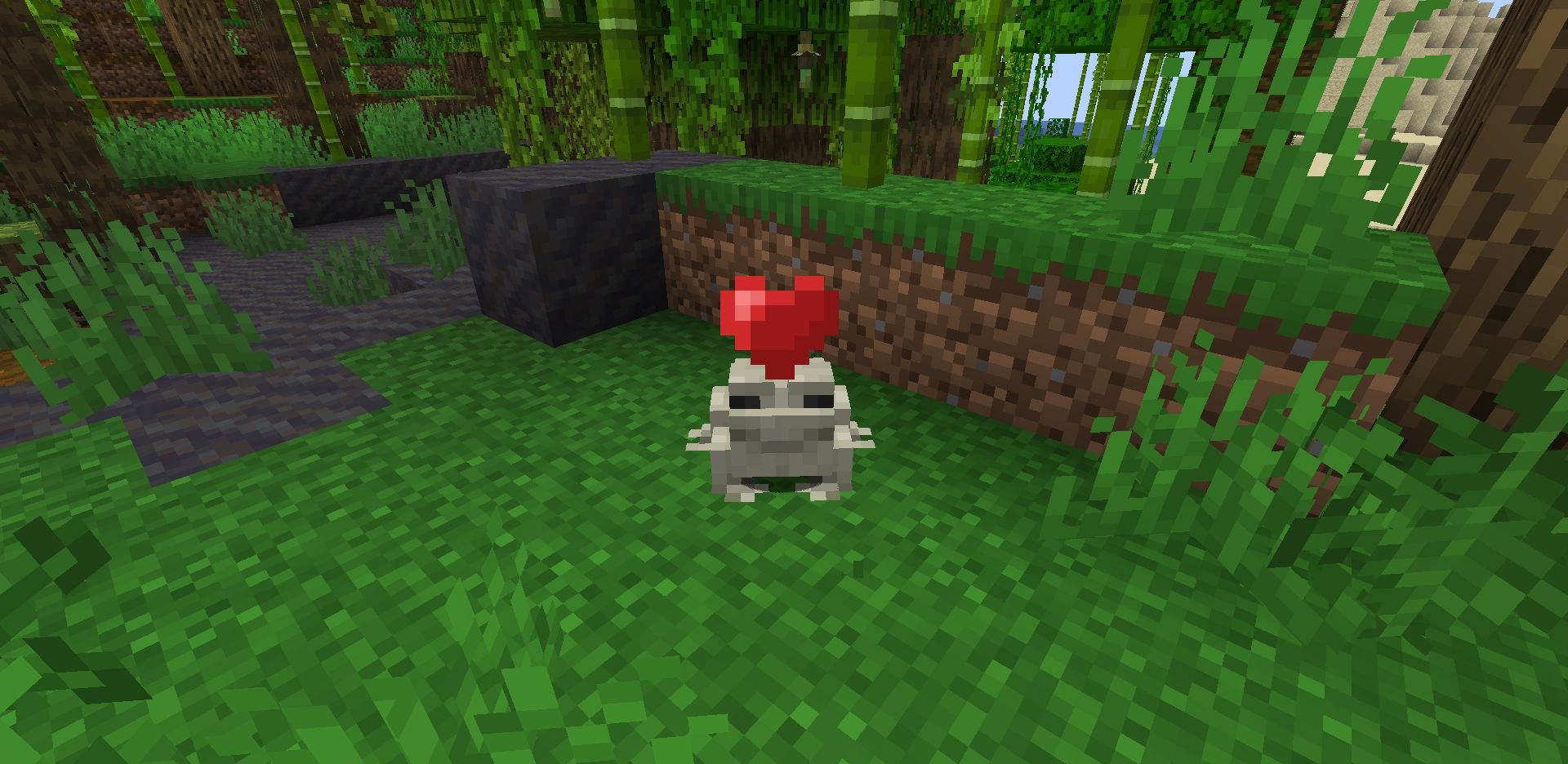 Игрок взаимодействует с лягушкой в Minecraft, мод добавляет анимацию поглаживания