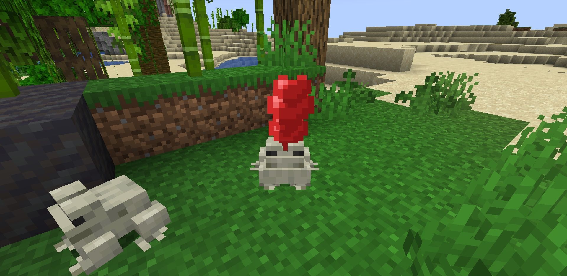 Лягушки в разных биомах Minecraft с модом Pet The Frog, игрок кормит их слизевыми шариками