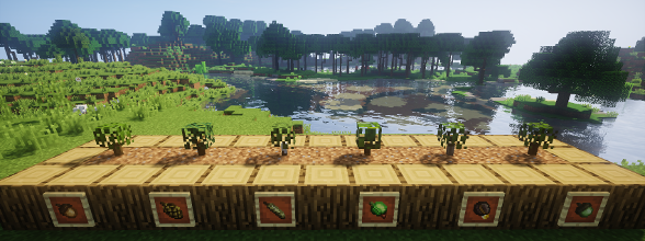 Процесс выращивания дерева из саженца в Minecraft