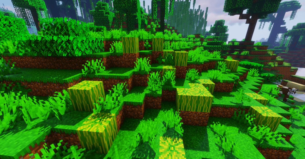 Saturated  1.20.6