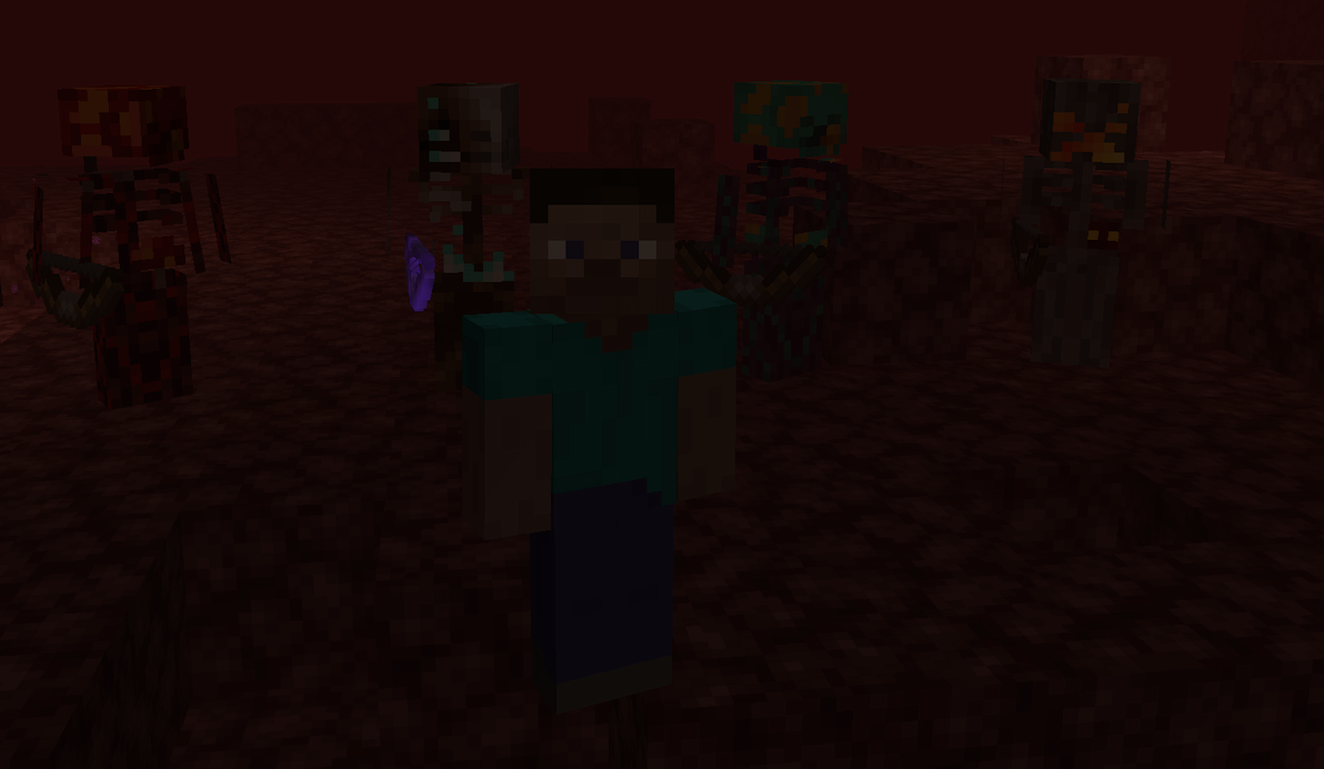Nether Skeletons  1.16.5
