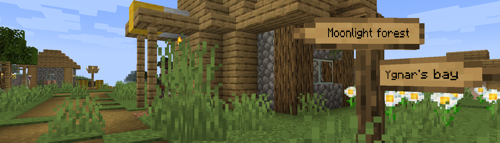 Разнообразие биомов в Minecraft: пустыня, лес, горы и океан