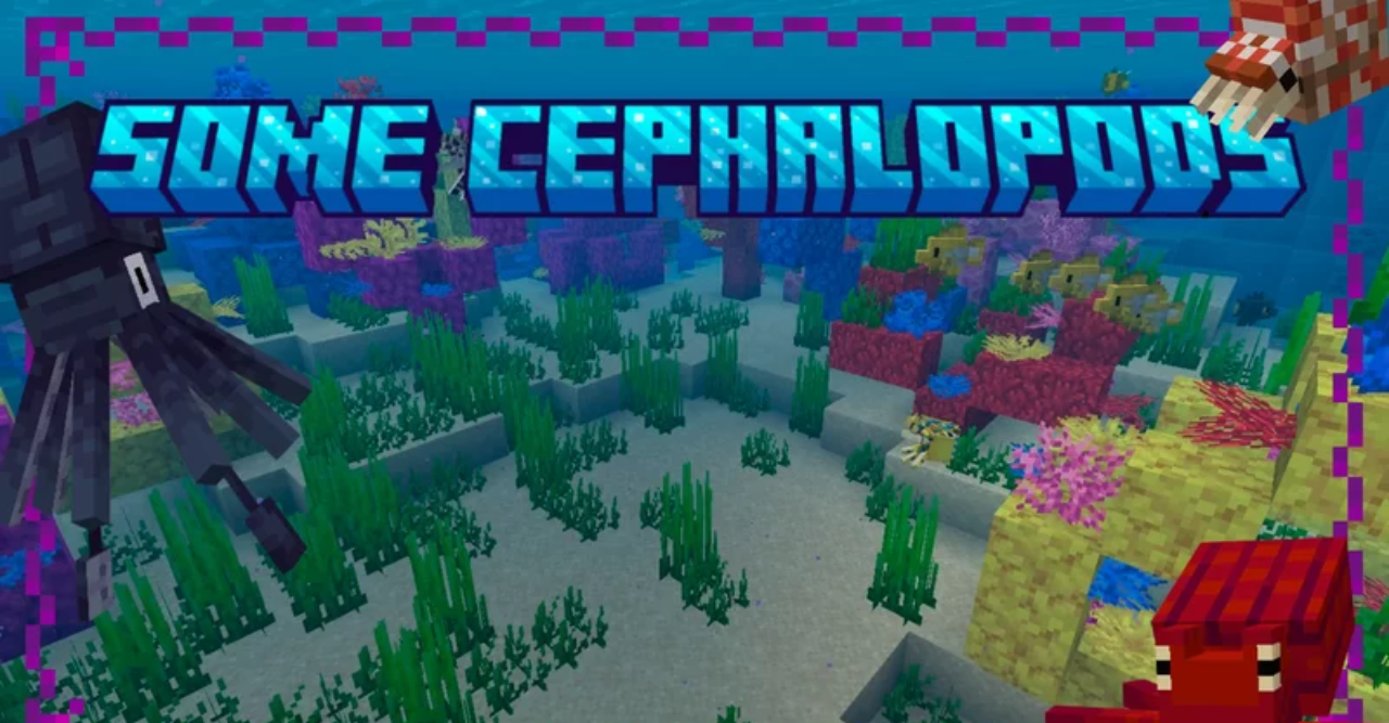 Some Cephalopods  1.20.6