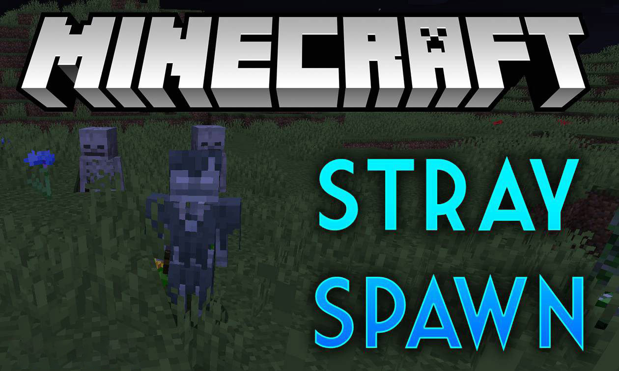 Stray Spawn  1.20.2