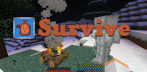 Survive  1.16.5