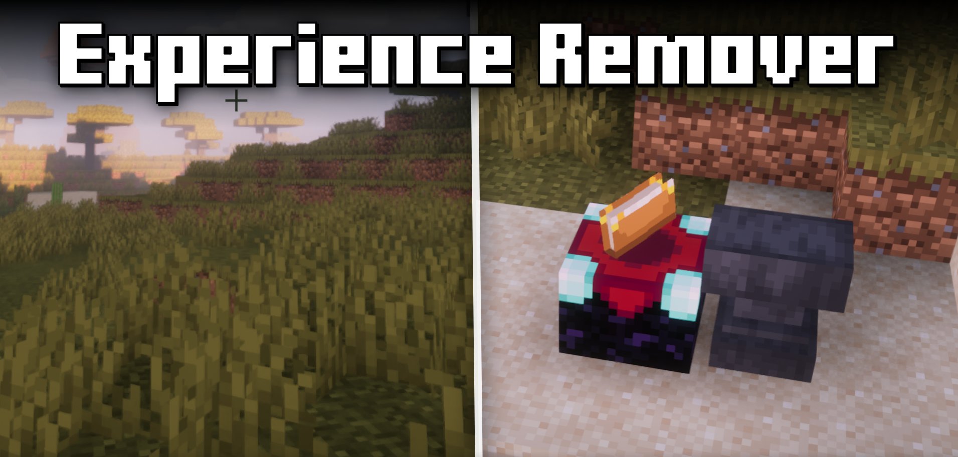 Experience Remover для Minecraft 1.18.2