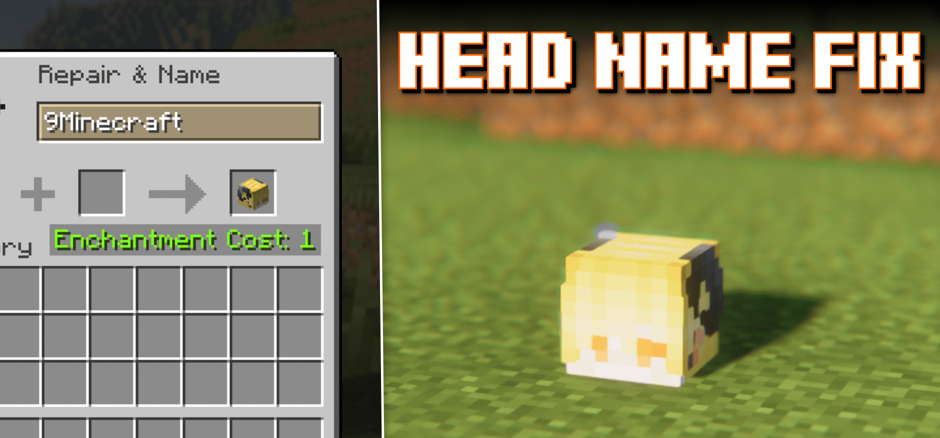 Head Name Fix для Minecraft 1.20.6