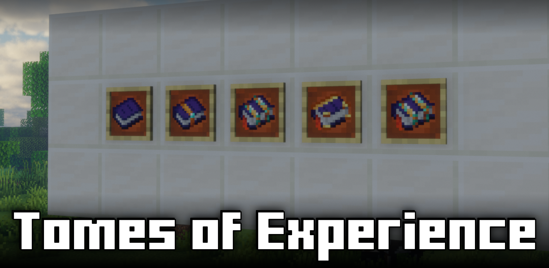 Tomes Of Experience для Minecraft 1.20.1