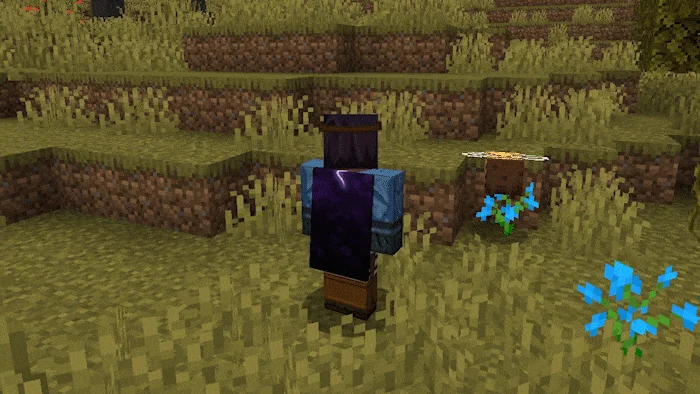 Анимация изменения внешнего вида персонажа в Minecraft с помощью мода TL Skin and Cape
