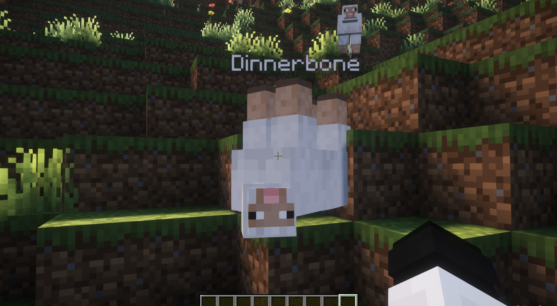 Геймплей Minecraft с модом Toggle Nametags в мультиплеере