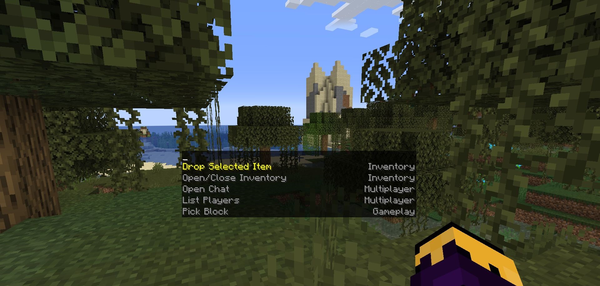 Главное меню настроек управления в моде Too Many Binds для Minecraft