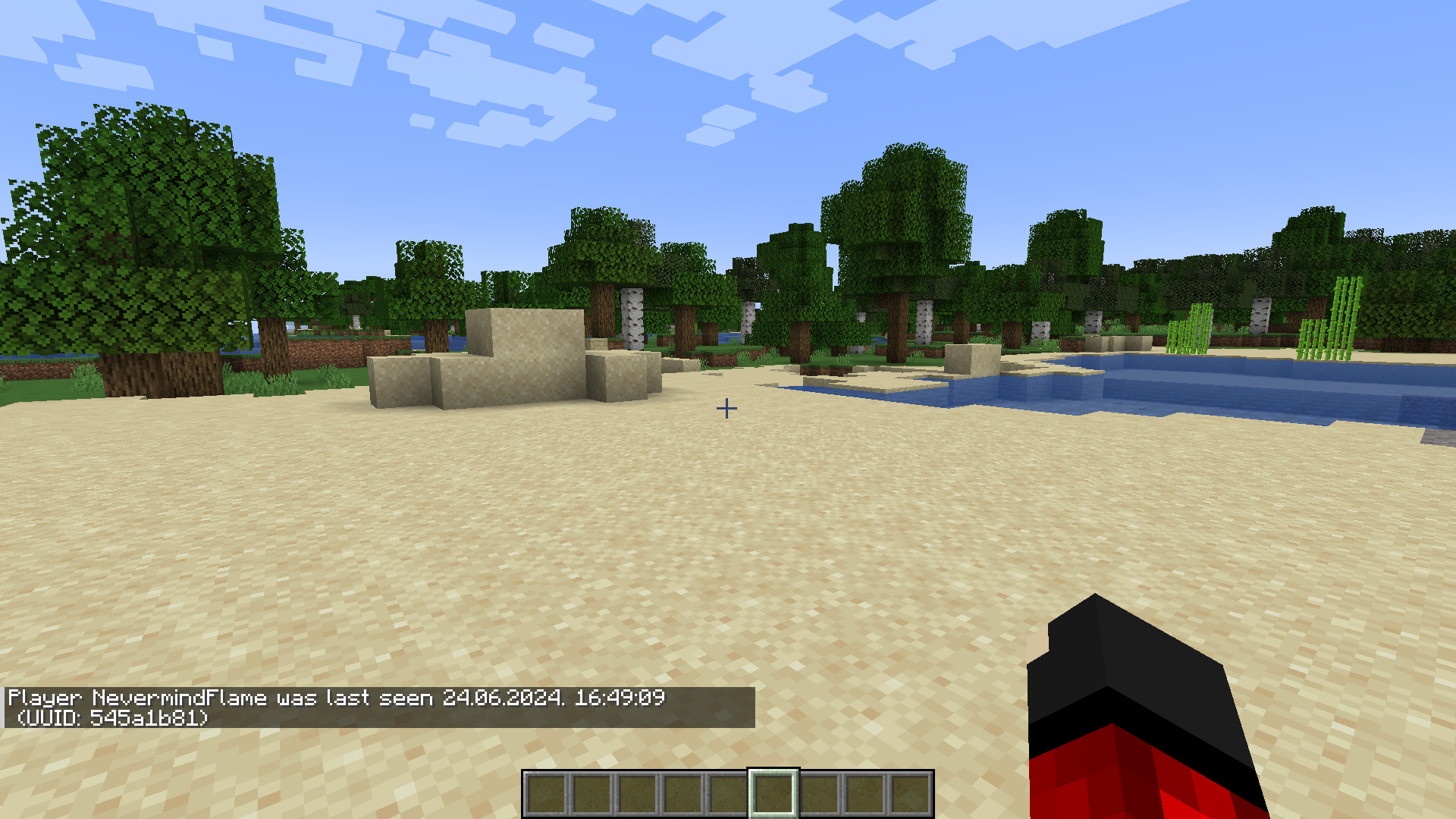 Пример использования команд Unique Commands в Minecraft для управления игроками