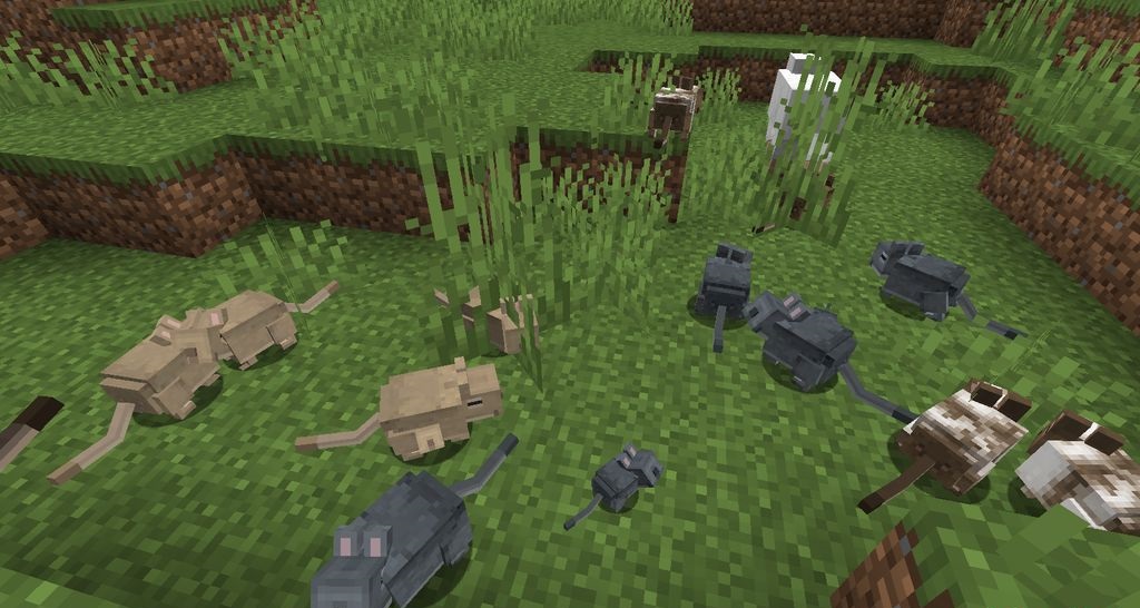 Дегу в разных биомах Minecraft — где лучше всего искать этих зверьков