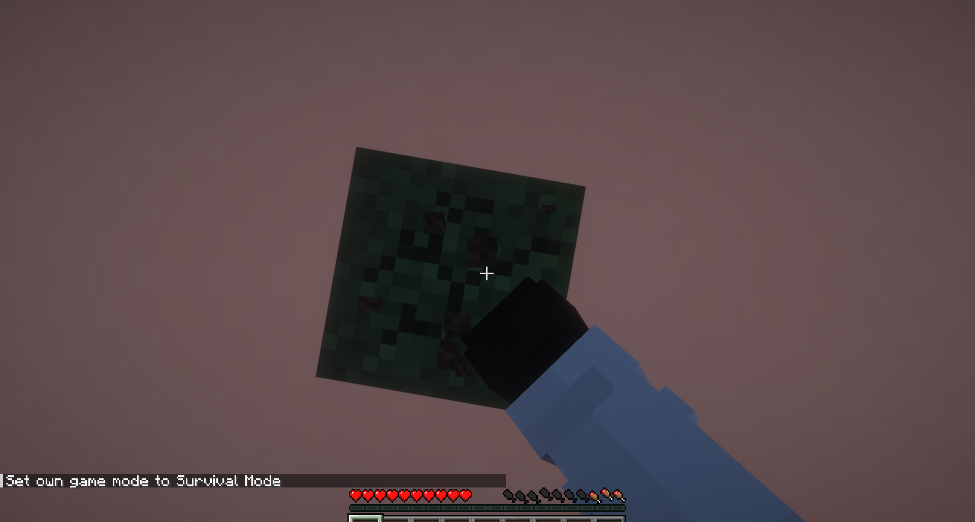 Пример мира в Vanilla One Block с минимальными ресурсами