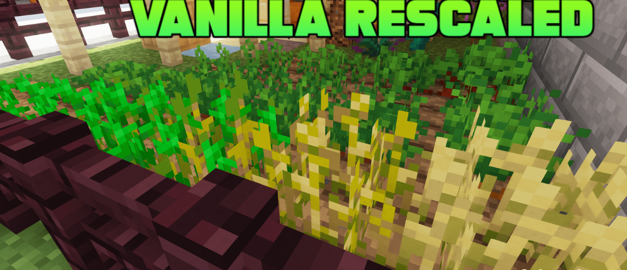 Vanilla Rescaled  1.20.6