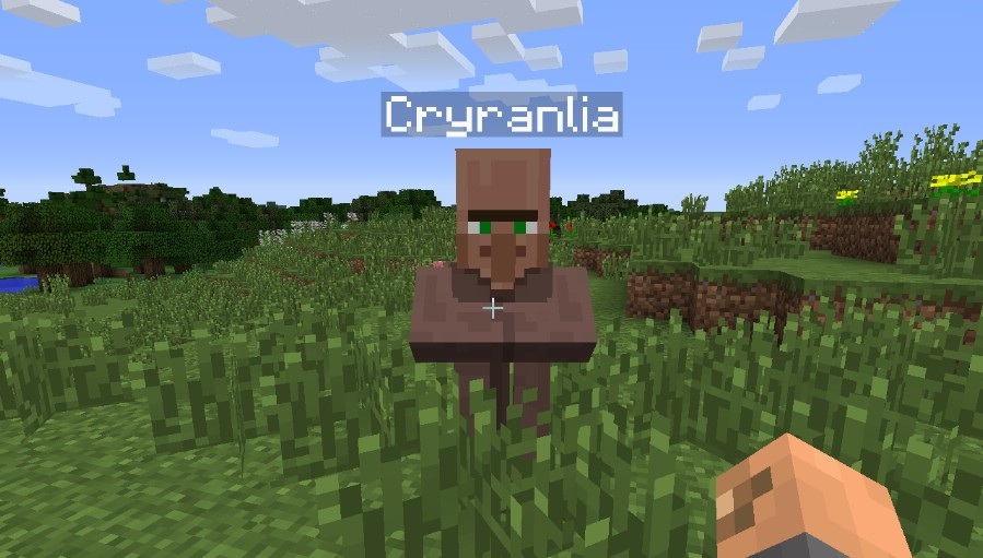Настройки мода Random Village Names в Minecraft