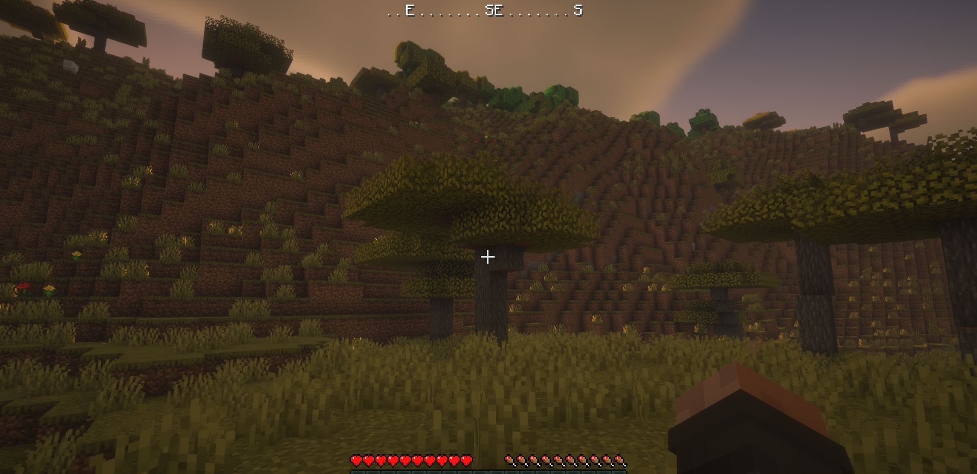 Интерфейс мода WAIG в Minecraft, показывающий направление движения