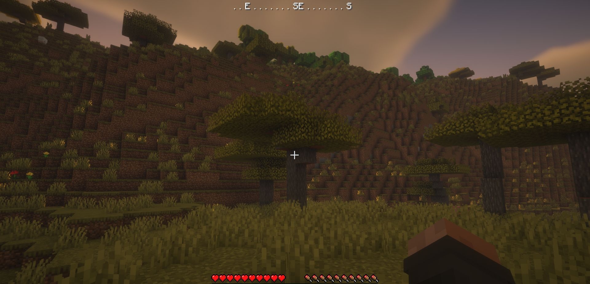 Интерфейс мода WAIG в Minecraft с отображением сторон света