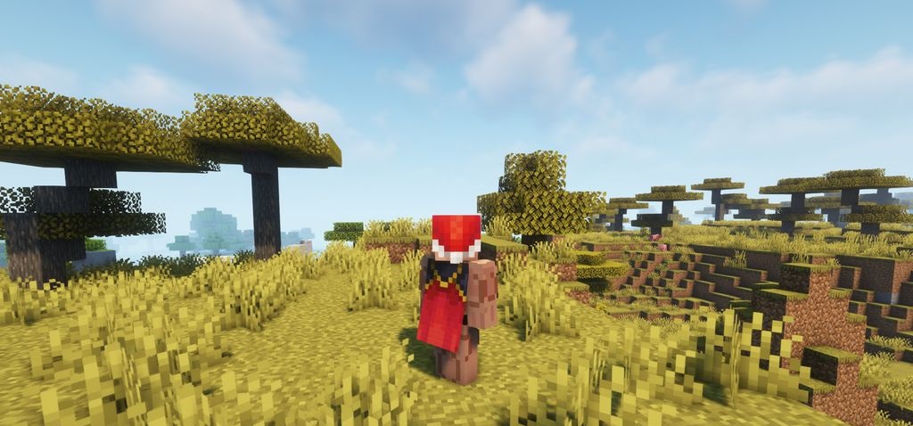 Сравнение статичного и анимированного плаща в Minecraft с модом Wavey Capes