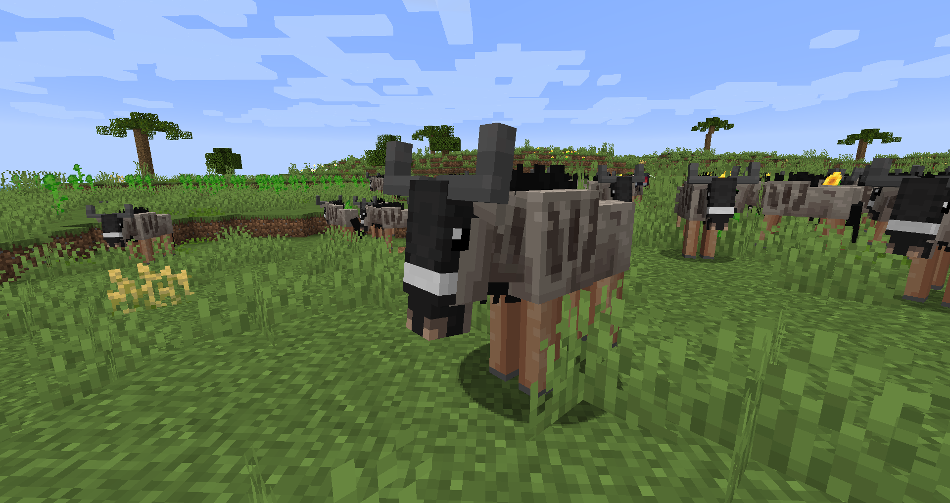 Разнообразие биомов в Minecraft: лес, пустыня, горы и океан
