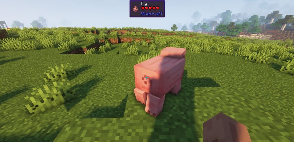 Настройки интерфейса WTHIT в Minecraft для персонализации отображения информации
