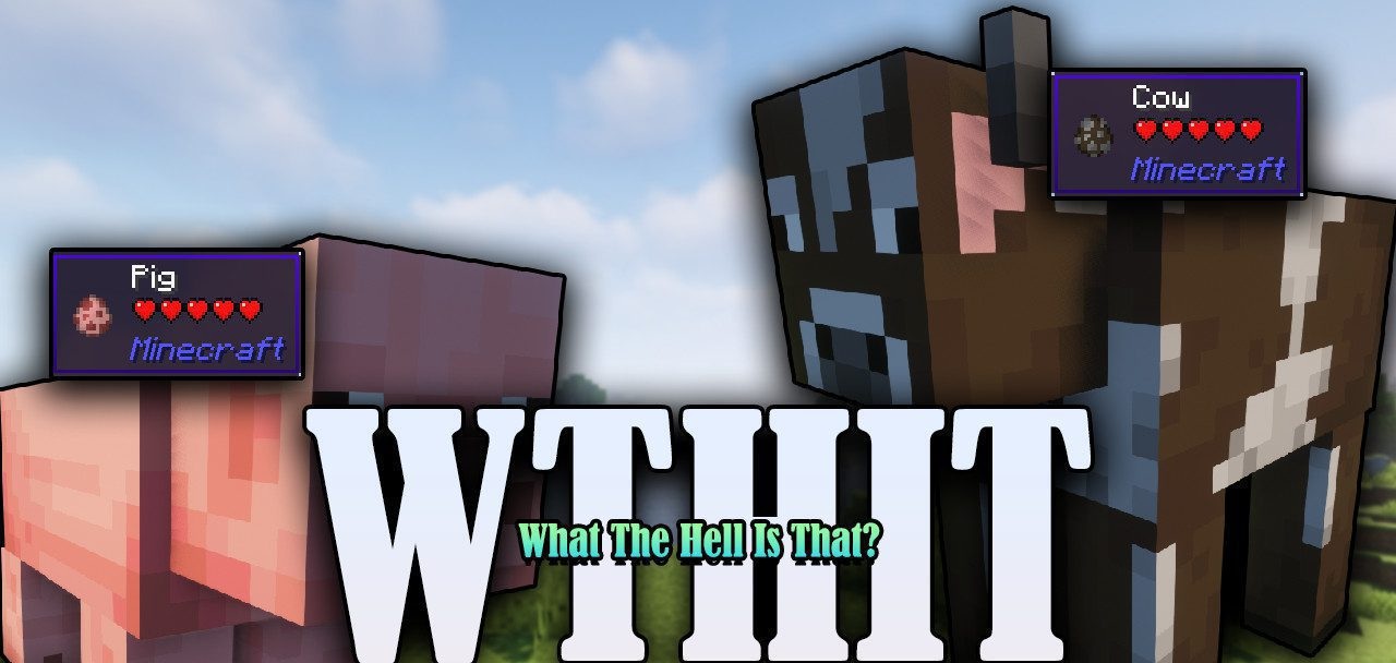 WTHIT для Minecraft 1.21.5