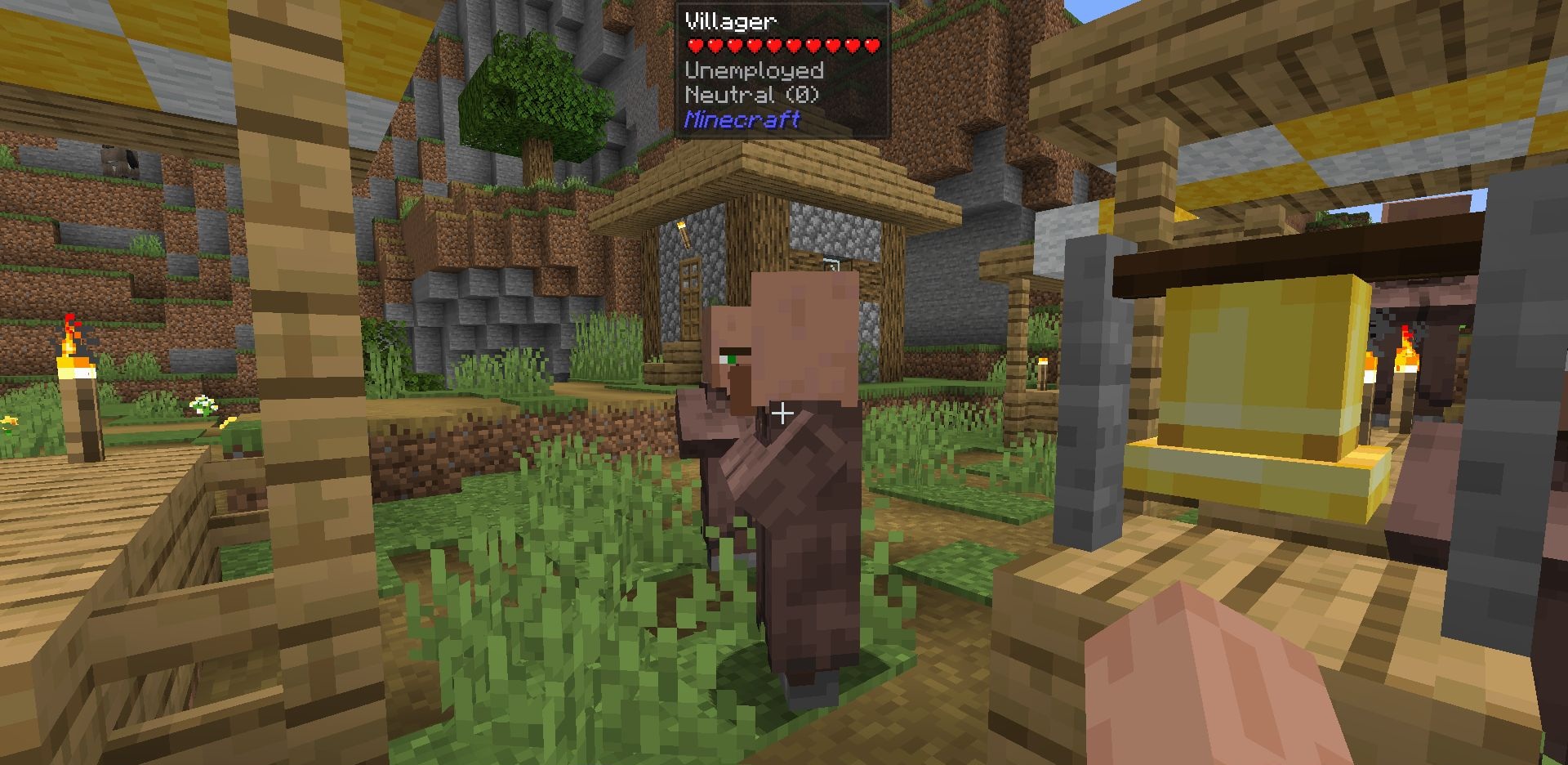 Настройки отображения репутации в интерфейсе Minecraft