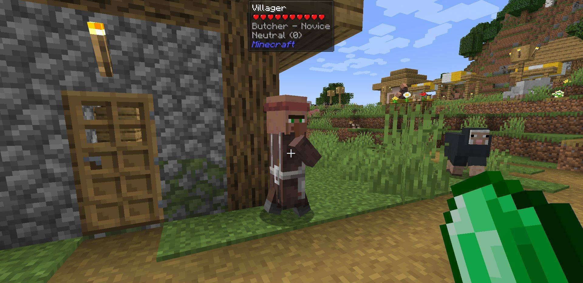 Игрок взаимодействует с жителем деревни в Minecraft с модом Your Reputation