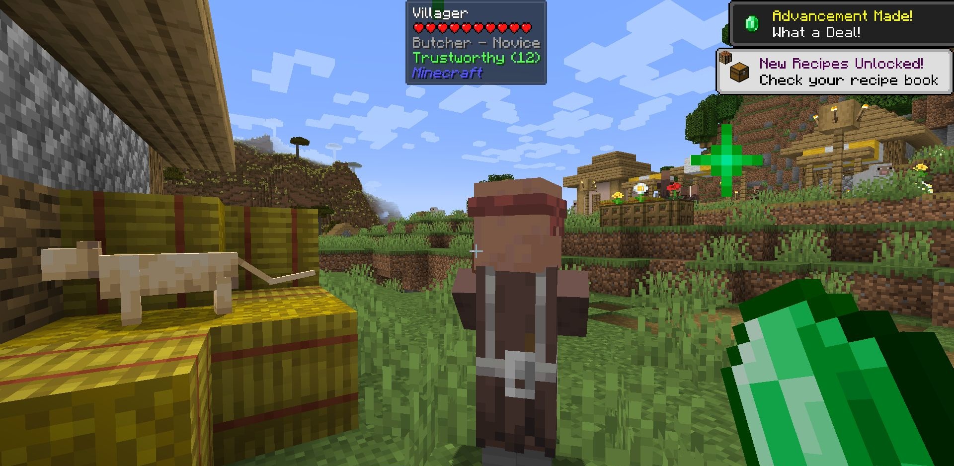 Пример плохой репутации игрока с NPC в Minecraft после атак