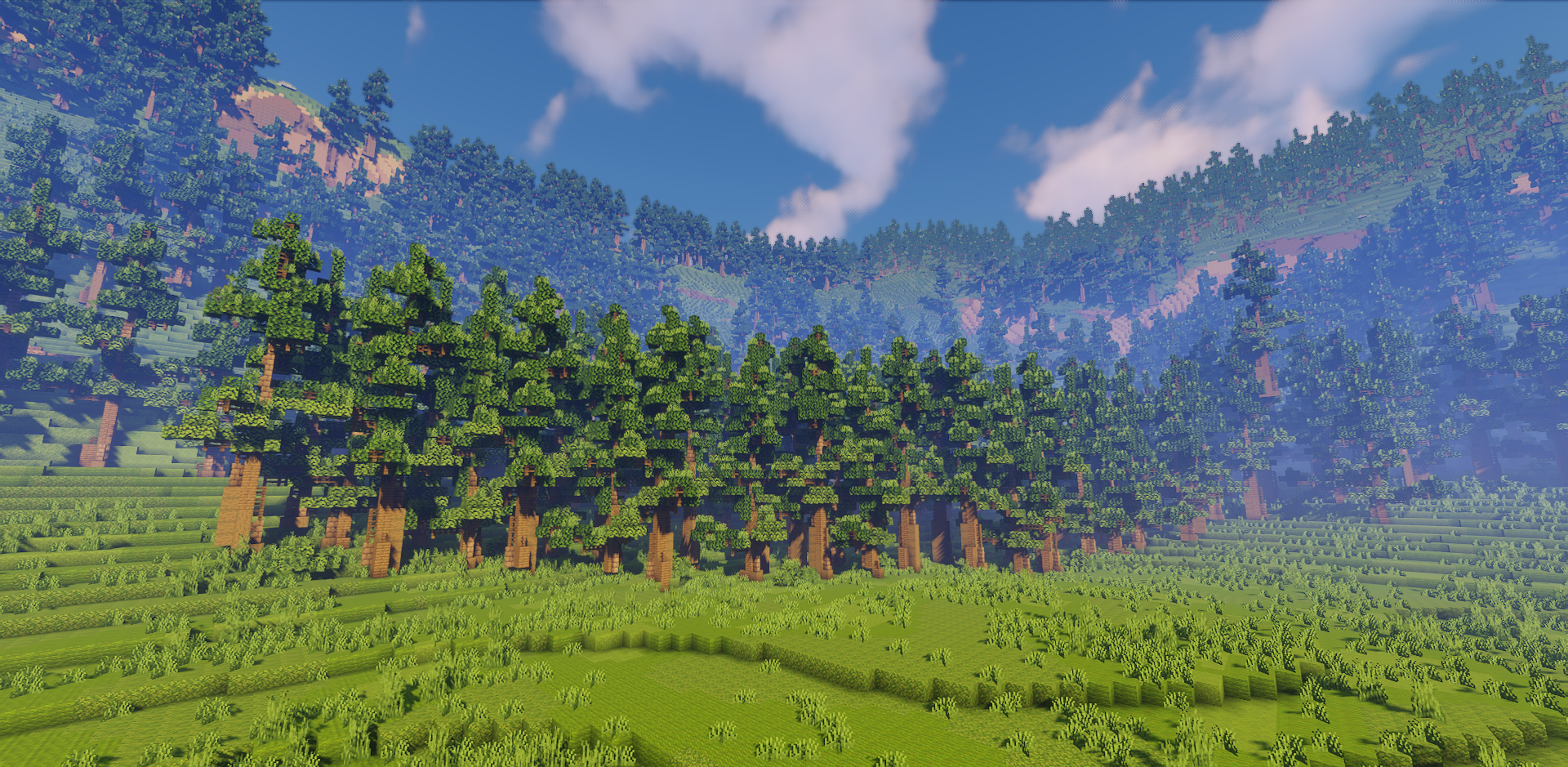 Густой лес в Minecraft на карте Forest Gorge с реалистичной растительностью