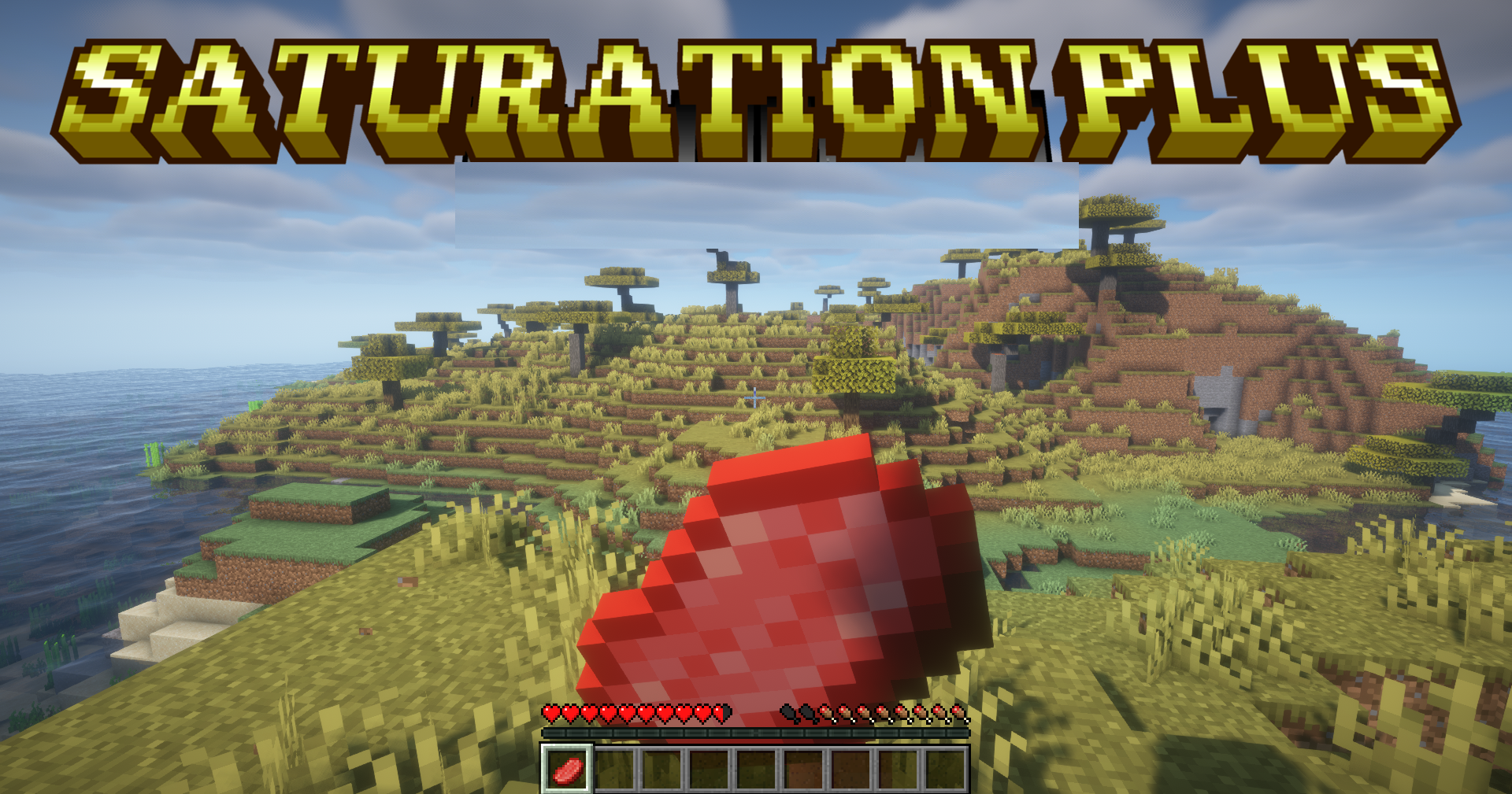 Saturation Plus для Minecraft 1.21.5