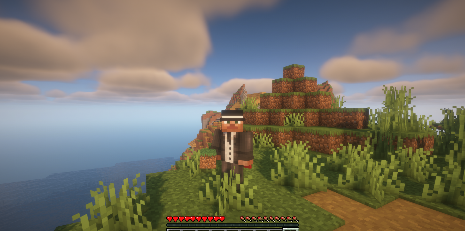Пример использования мода Seeded Grass для быстрого озеленения территории в Minecraft